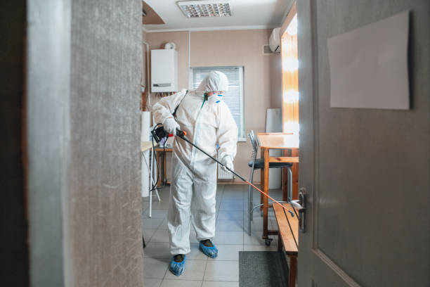 Best Basement Mold Removal  in Ruskin, FL