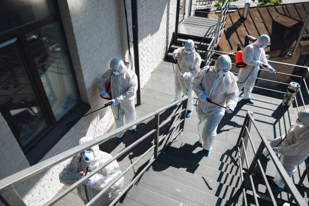 Best Residential Mold Inspection & Testing  in Ruskin, FL