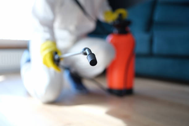 Best Dehumidification Services  in Ruskin, FL